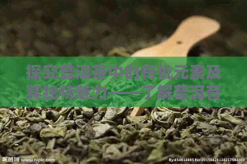 探究普洱茶中的有机元素及其独特魅力——了解普洱有机茶的深层含义