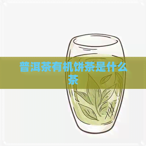 普洱茶有机饼茶是什么茶