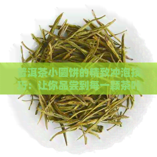 普洱茶小圆饼的精致冲泡技巧：让你品尝到每一颗茶叶的细腻口感