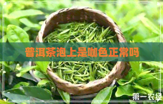 普洱茶泡上是咖色正常吗