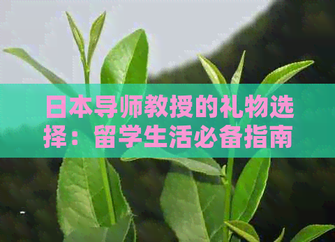 导师教授的礼物选择：留学生活必备指南