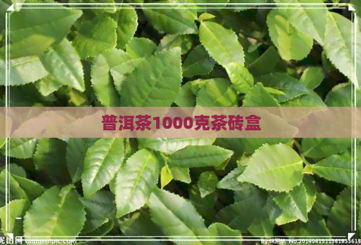 普洱茶1000克茶砖盒