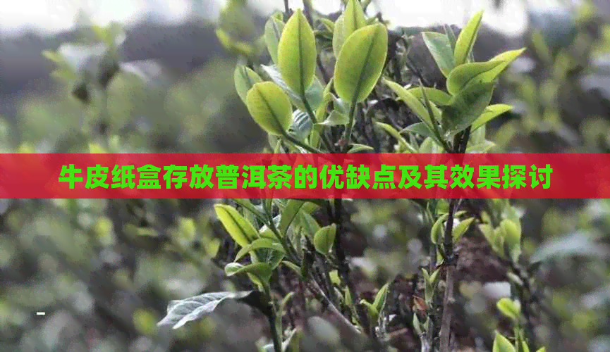 牛皮纸盒存放普洱茶的优缺点及其效果探讨