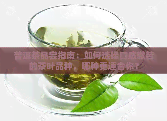 普洱茶品尝指南：如何选择口感微苦的茶叶品种，哪种更适合你？