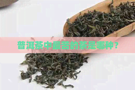 普洱茶中最苦的茶是哪种？