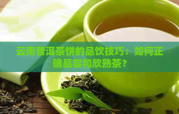 云南普洱茶饼的品饮技巧：如何正确品尝和欣熟茶？