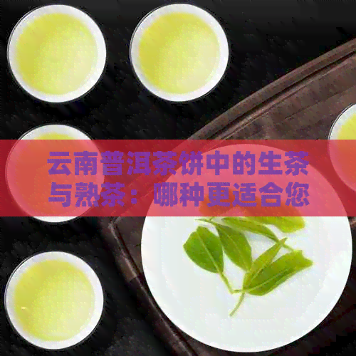 云南普洱茶饼中的生茶与熟茶：哪种更适合您？