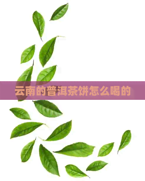 云南的普洱茶饼怎么喝的