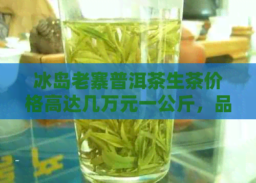 冰岛老寨普洱茶生茶价格高达几万元一公斤，品质与价值如何权？