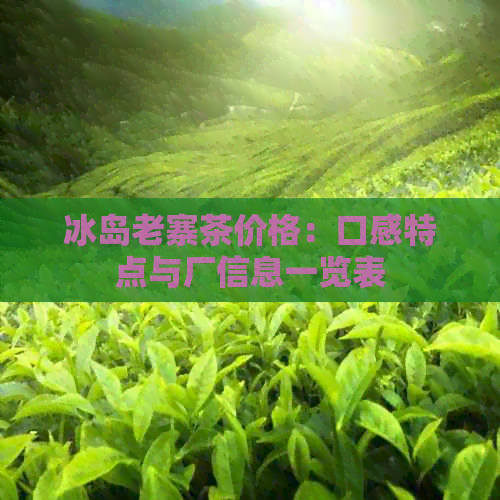 冰岛老寨茶价格：口感特点与厂信息一览表