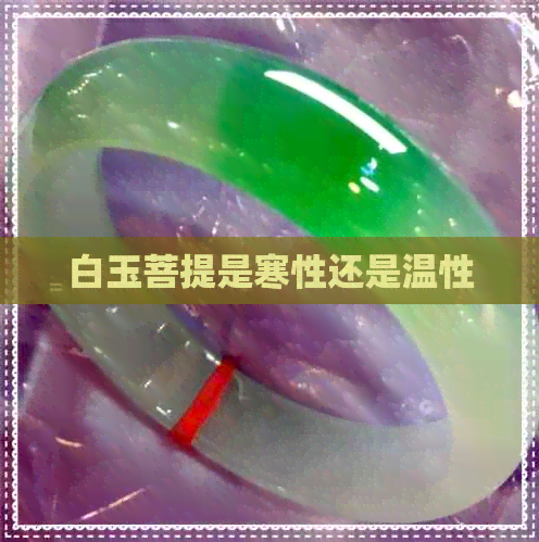 白玉菩提是寒性还是温性