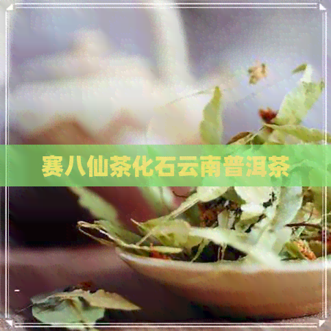 赛八仙茶化石云南普洱茶