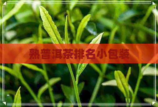 熟普洱茶排名小包装