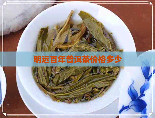 明远百年普洱茶价格多少