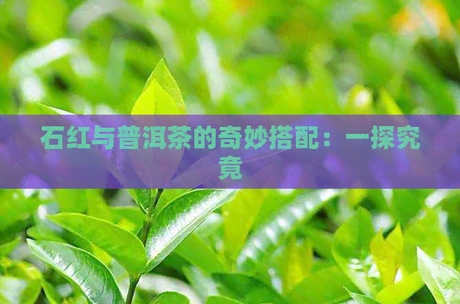 石红与普洱茶的奇妙搭配：一探究竟