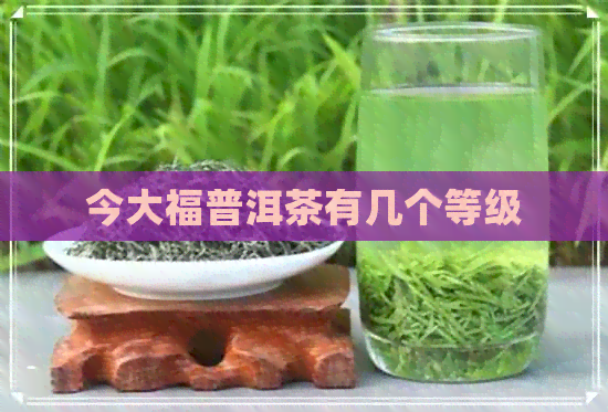 今大福普洱茶有几个等级