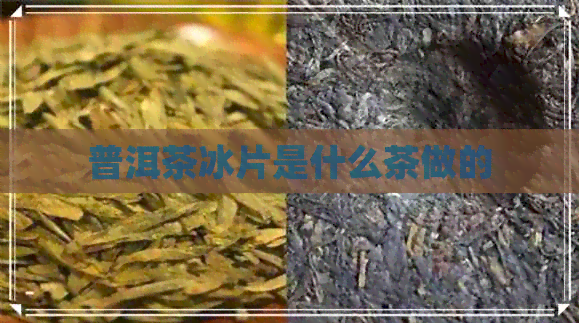 普洱茶冰片是什么茶做的