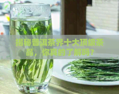 揭秘普洱茶界十大顶级茶品，你真的了解吗？