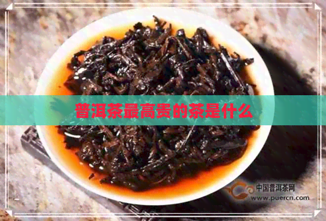 普洱茶更高贵的茶是什么