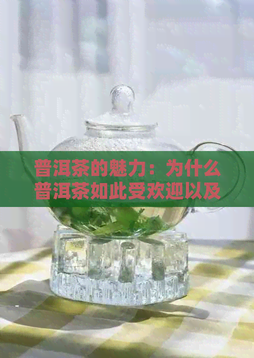 普洱茶的魅力：为什么普洱茶如此受欢迎以及它的好处和坏处