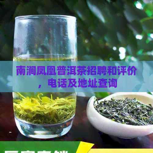 南涧凤凰普洱茶招聘和评价，电话及地址查询