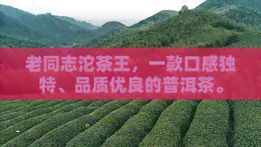 老同志沱茶王，一款口感独特、品质优良的普洱茶。