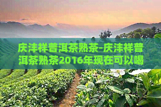 庆沣祥普洱茶熟茶-庆沣祥普洱茶熟茶2016年现在可以喝吗