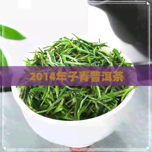 2014年子青普洱茶