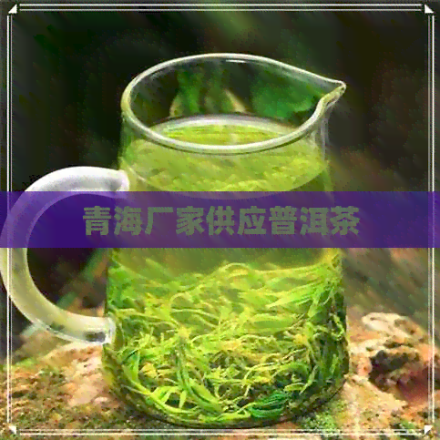 青海厂家供应普洱茶