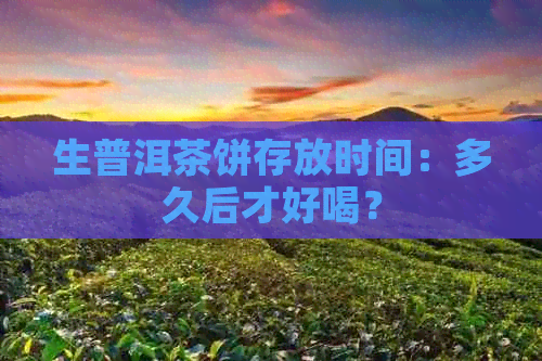 生普洱茶饼存放时间：多久后才好喝？