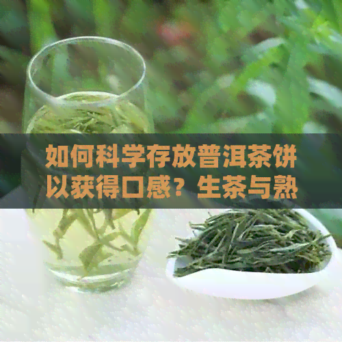 如何科学存放普洱茶饼以获得口感？生茶与熟茶的保存时间对比