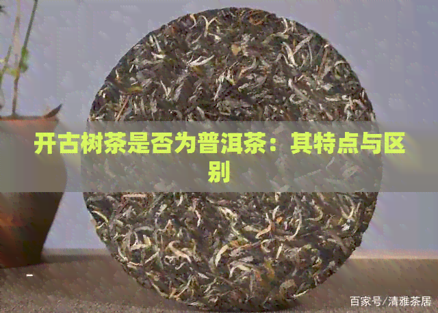 开古树茶是否为普洱茶：其特点与区别