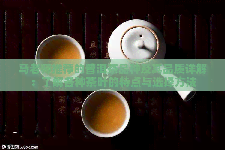 马老师推荐的普洱茶品种及其品质详解：了解各种茶叶的特点与选择方法