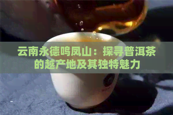 云南永德鸣凤山：探寻普洱茶的越产地及其独特魅力