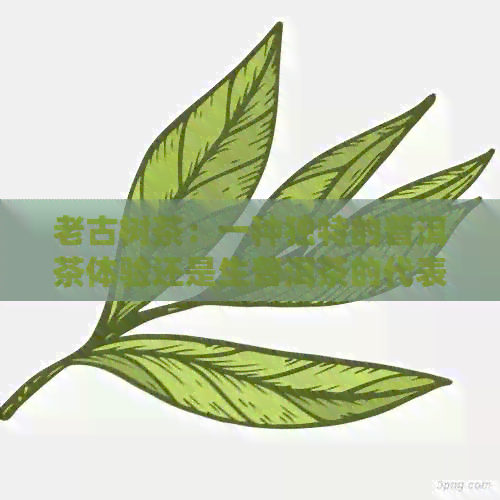 老古树茶：一种独特的普洱茶体验还是生普洱茶的代表？