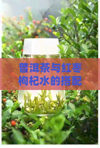 普洱茶与红枣枸杞水的搭配：如何正确泡制，以充分发挥口感与营养？