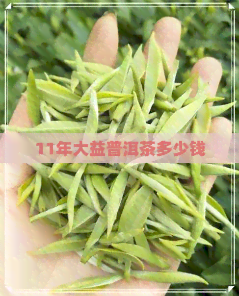 11年大益普洱茶多少钱