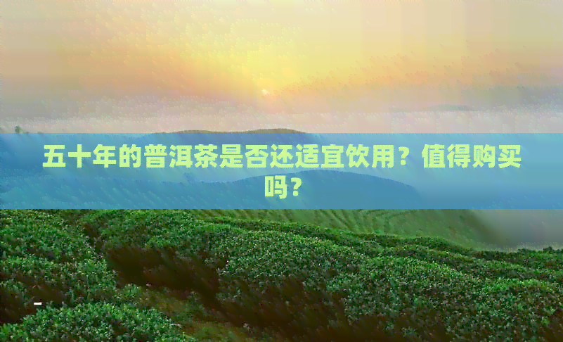 五十年的普洱茶是否还适宜饮用？值得购买吗？