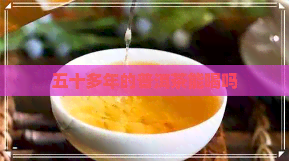 五十多年的普洱茶能喝吗