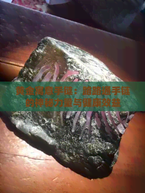 黄金寓意手链：路路通手链的神秘力量与健康效益