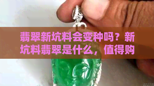 翡翠新坑料会变种吗？新坑料翡翠是什么，值得购买吗？a货吗？