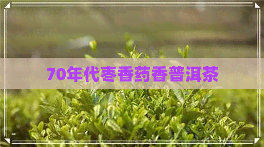 70年代枣香药香普洱茶