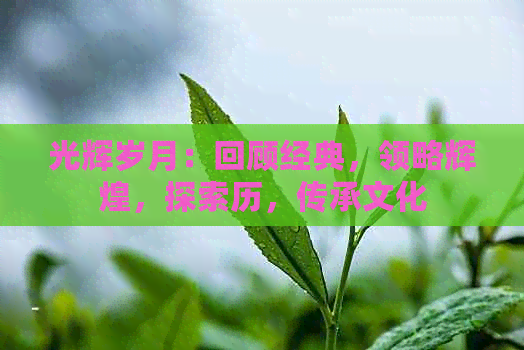 光辉岁月：回顾经典，领略辉煌，探索历，传承文化