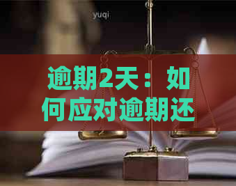 逾期2天：如何应对逾期还款问题，常见解决方案和预防措