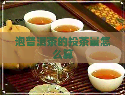 泡普洱茶的投茶量怎么算