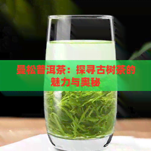 曼松普洱茶：探寻古树茶的魅力与奥秘