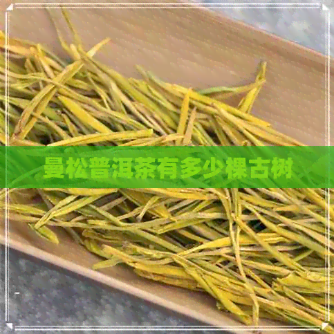 曼松普洱茶有多少棵古树