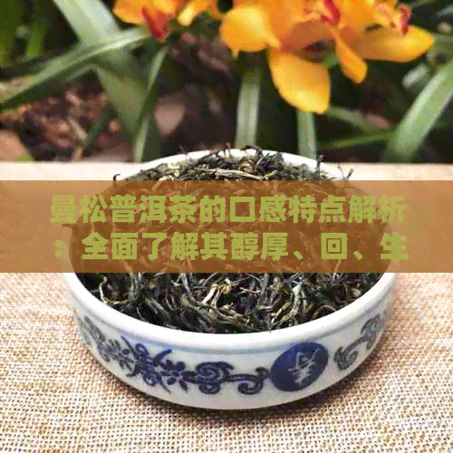 曼松普洱茶的口感特点解析：全面了解其醇厚、回、生津等风味表现