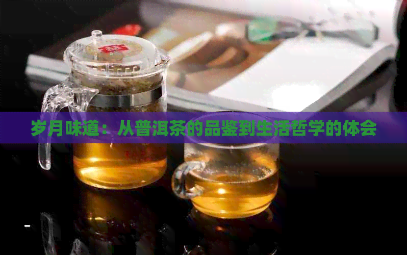 岁月味道：从普洱茶的品鉴到生活哲学的体会