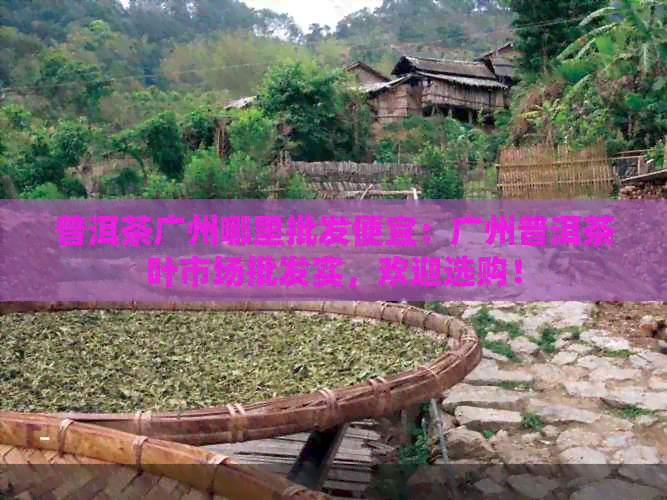 普洱茶广州哪里批发便宜：广州普洱茶叶市场批发实，欢迎选购！